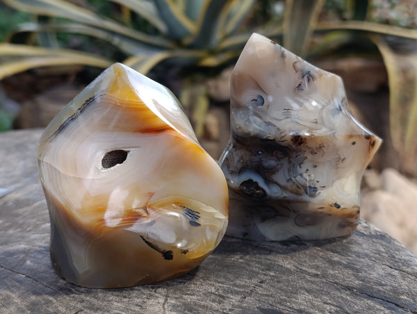 Polished Banded and Dendritic Agate Flames x 6 From Madagascar
