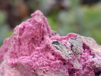 Natural Salrose Cobaltion Dolomite Specimens x 6 From Kakanda, Congo