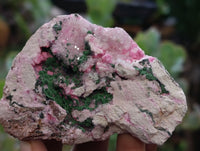 Natural Salrose Cobaltion Dolomite Specimens x 6 From Kakanda, Congo