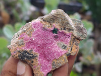 Natural Salrose Cobaltion Dolomite Specimens x 6 From Kakanda, Congo
