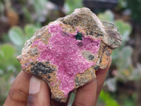 Natural Salrose Cobaltion Dolomite Specimens x 6 From Kakanda, Congo