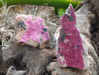 Natural Salrose Cobaltion Dolomite Specimens x 6 From Kakanda, Congo