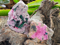 Natural Salrose Cobaltion Dolomite Specimens x 6 From Kakanda, Congo