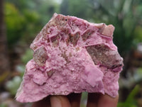Natural Salrose Cobaltion Dolomite Specimens x 6 From Kakanda, Congo