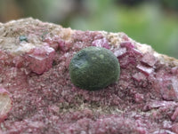 Natural Salrose Cobaltion Dolomite Specimens x 6 From Kakanda, Congo