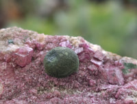 Natural Salrose Cobaltion Dolomite Specimens x 6 From Kakanda, Congo
