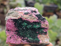Natural Salrose Cobaltion Dolomite Specimens x 6 From Kakanda, Congo