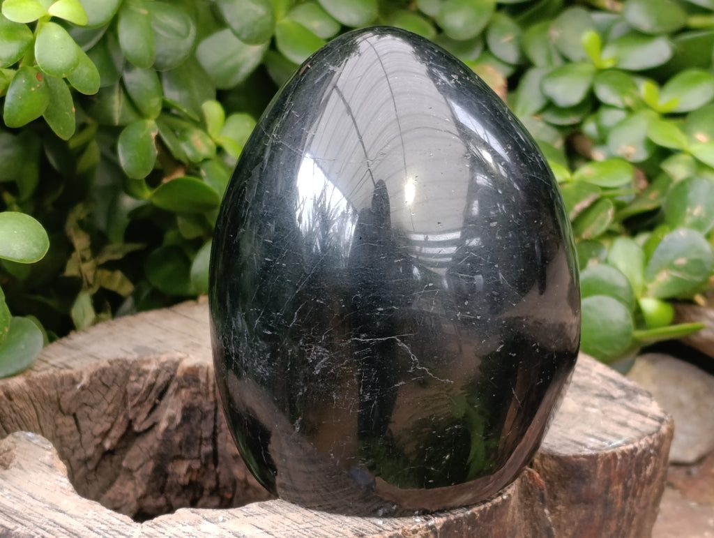 Polished Black Tourmaline Standing Free Form x 2 From Madagascar - Toprock Gemstones and Minerals 