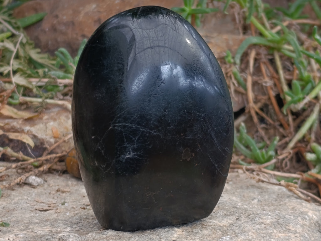 Polished Black Tourmaline Standing Free Form x 2 From Madagascar - Toprock Gemstones and Minerals 