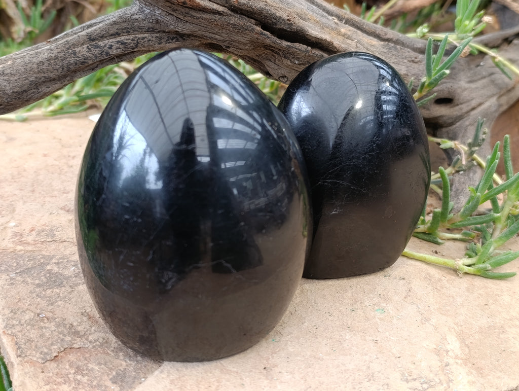 Polished Black Tourmaline Standing Free Form x 2 From Madagascar - Toprock Gemstones and Minerals 