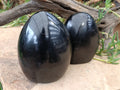 Polished Black Tourmaline Standing Free Form x 2 From Madagascar - Toprock Gemstones and Minerals 