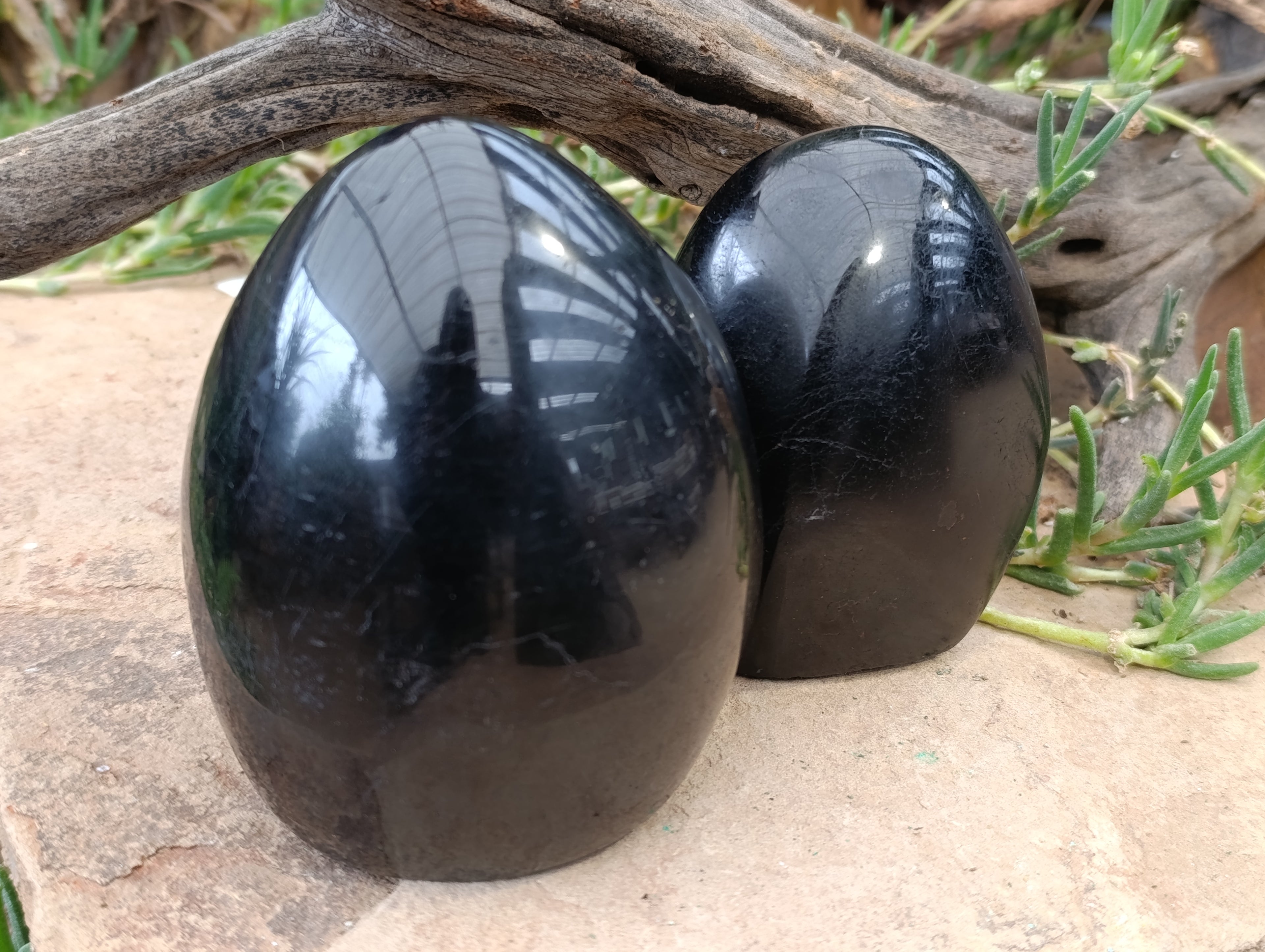 Polished Black Tourmaline Standing Free Form x 2 From Madagascar - Toprock Gemstones and Minerals 