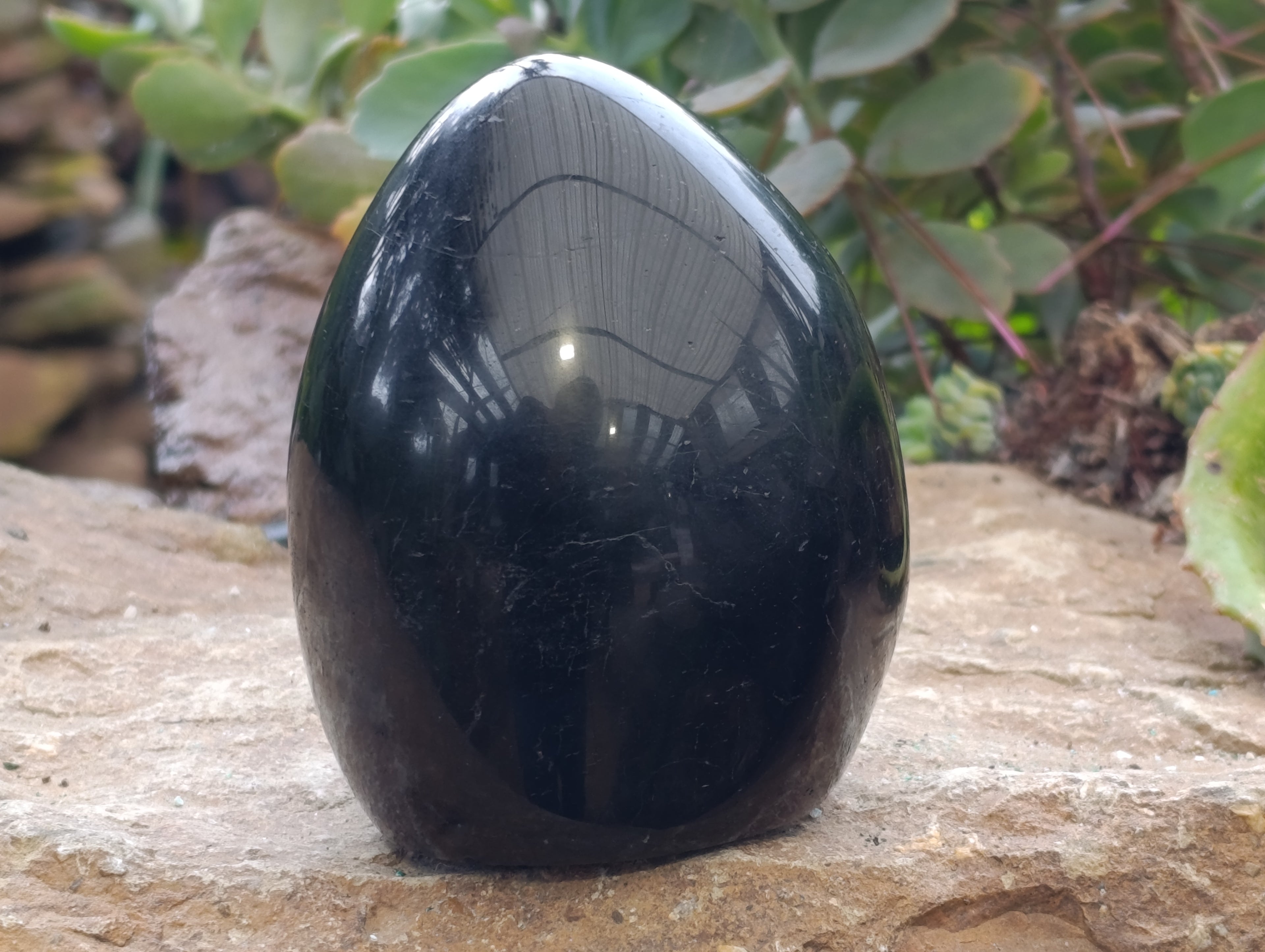Polished Black Tourmaline Standing Free Form x 2 From Madagascar - Toprock Gemstones and Minerals 