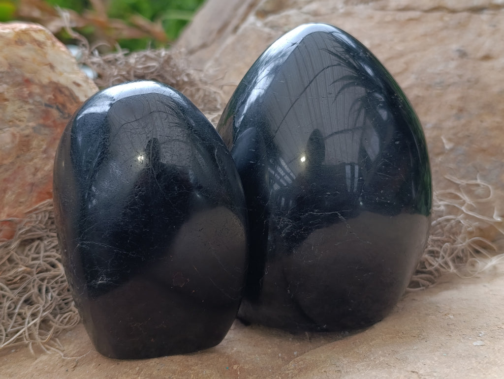 Polished Black Tourmaline Standing Free Form x 2 From Madagascar - Toprock Gemstones and Minerals 