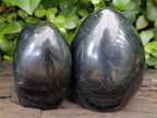 Polished Black Tourmaline Standing Free Form x 2 From Madagascar - Toprock Gemstones and Minerals 
