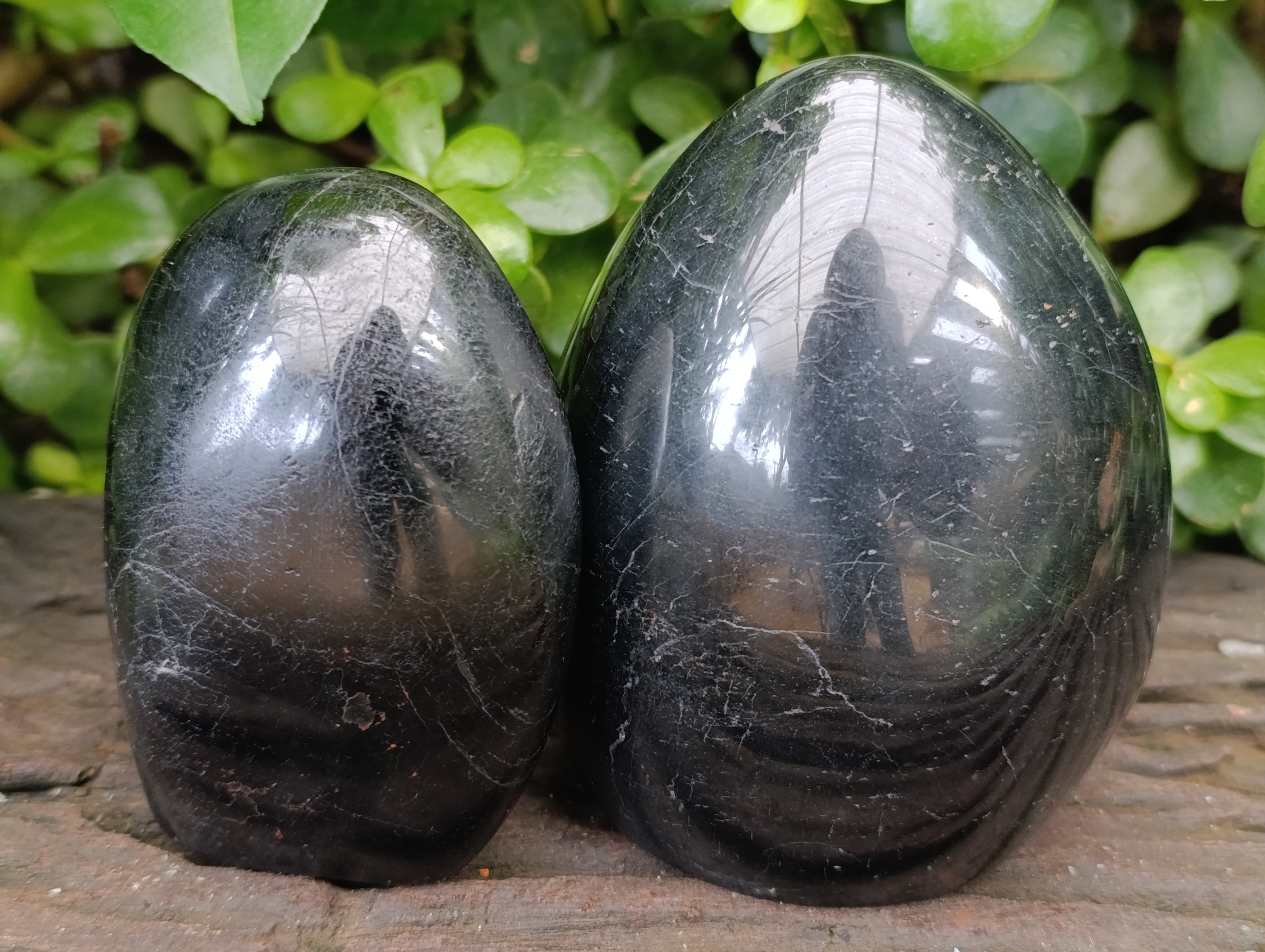 Polished Black Tourmaline Standing Free Form x 2 From Madagascar - Toprock Gemstones and Minerals 