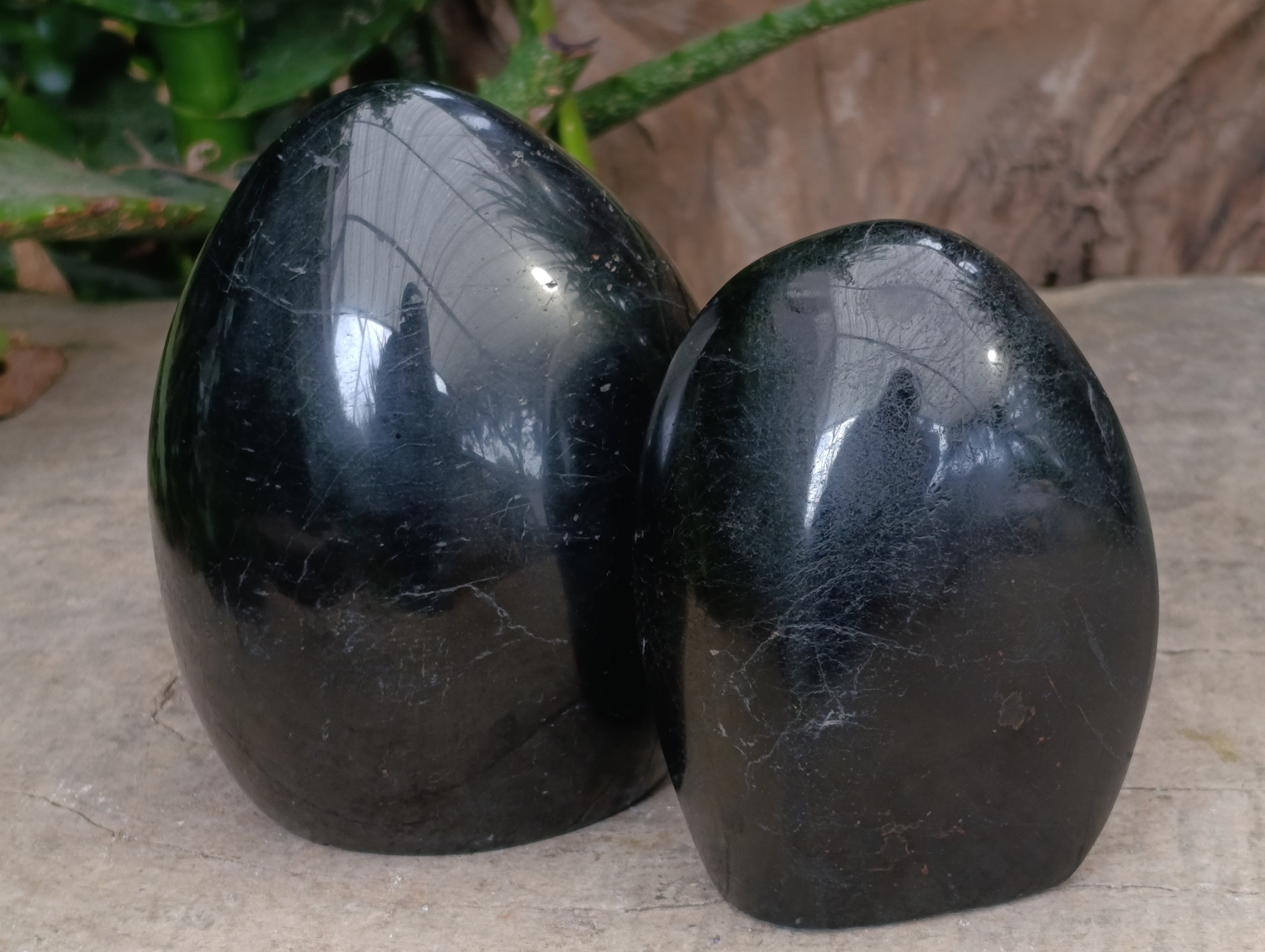 Polished Black Tourmaline Standing Free Form x 2 From Madagascar - Toprock Gemstones and Minerals 