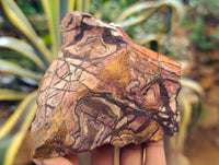 Natural Nguni Jasper Cobbed Specimens x 29 From Prieska, South Africa