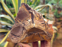 Natural Nguni Jasper Cobbed Specimens x 29 From Prieska, South Africa