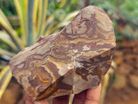 Natural Nguni Jasper Cobbed Specimens x 29 From Prieska, South Africa