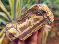 Natural Nguni Jasper Cobbed Specimens x 29 From Prieska, South Africa