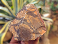 Natural Nguni Jasper Cobbed Specimens x 29 From Prieska, South Africa