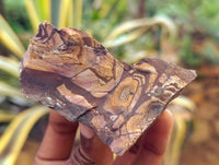 Natural Nguni Jasper Cobbed Specimens x 29 From Prieska, South Africa