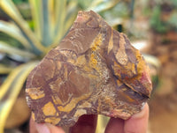 Natural Nguni Jasper Cobbed Specimens x 29 From Prieska, South Africa