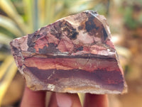 Natural Nguni Jasper Cobbed Specimens x 29 From Prieska, South Africa