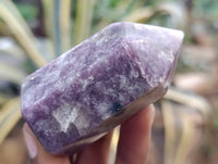 Polished Lepidolite with Pink Rubellite Crystals x 12 From Ambatondrazaka, Madagascar