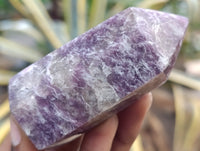 Polished Lepidolite with Pink Rubellite Crystals x 12 From Ambatondrazaka, Madagascar