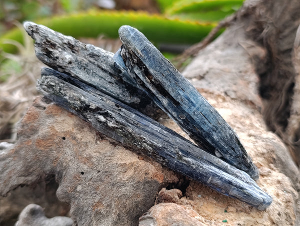 Natural Kyanite Crystals x 2.28 Kg Lot From Karoi, Zimbabwe