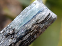 Natural Kyanite Crystals x 2.28 Kg Lot From Karoi, Zimbabwe
