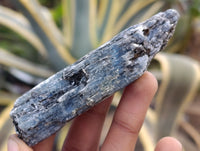 Natural Kyanite Crystals x 2.28 Kg Lot From Karoi, Zimbabwe