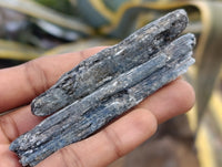 Natural Kyanite Crystals x 2.28 Kg Lot From Karoi, Zimbabwe
