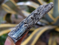 Natural Kyanite Crystals x 2.28 Kg Lot From Karoi, Zimbabwe