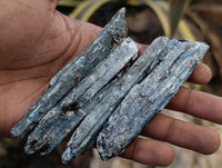 Natural Kyanite Crystals x 2.28 Kg Lot From Karoi, Zimbabwe