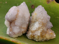 Natural Ametrine Spirit Quartz Crystals x 70 From Boekenhouthoek, South Africa