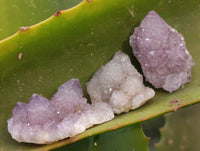 Natural Ametrine Spirit Quartz Crystals x 70 From Boekenhouthoek, South Africa