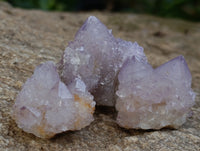 Natural Ametrine Spirit Quartz Crystals x 70 From Boekenhouthoek, South Africa