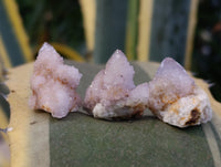 Natural Ametrine Spirit Quartz Crystals x 70 From Boekenhouthoek, South Africa