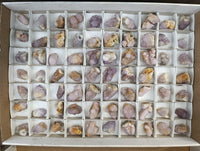 Natural Ametrine Spirit Quartz Crystals x 70 From Boekenhouthoek, South Africa