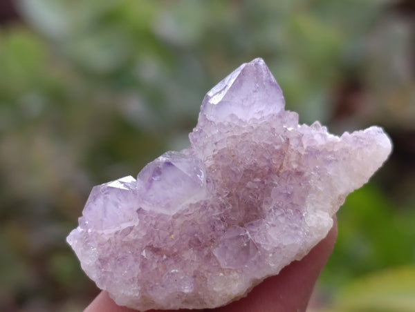 Natural Ametrine Spirit Quartz Crystals x 70 From Boekenhouthoek, South Africa