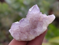 Natural Ametrine Spirit Quartz Crystals x 70 From Boekenhouthoek, South Africa