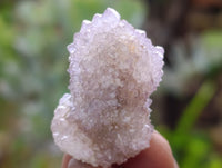 Natural Ametrine Spirit Quartz Crystals x 70 From Boekenhouthoek, South Africa