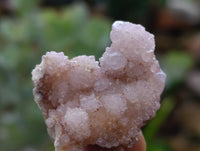 Natural Ametrine Spirit Quartz Crystals x 70 From Boekenhouthoek, South Africa