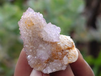 Natural Ametrine Spirit Quartz Crystals x 70 From Boekenhouthoek, South Africa