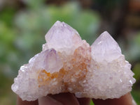 Natural Ametrine Spirit Quartz Crystals x 70 From Boekenhouthoek, South Africa
