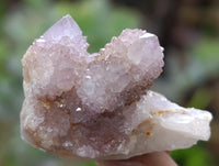 Natural Ametrine Spirit Quartz Crystals x 70 From Boekenhouthoek, South Africa