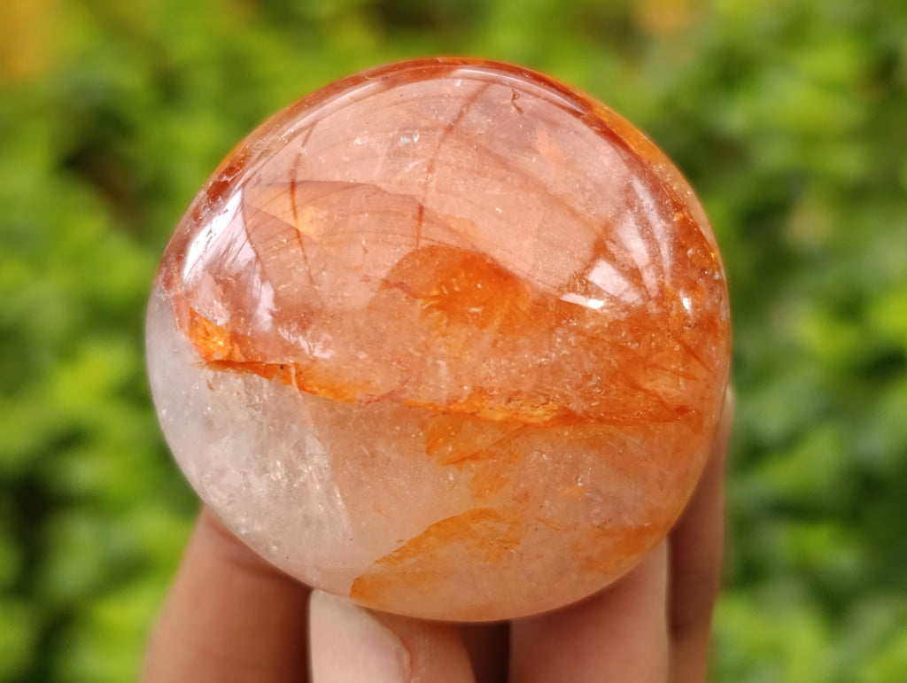 Polished Mix of Selected Galet-Palm Stones x 20 From Madagascar - Toprock Gemstones and Minerals 